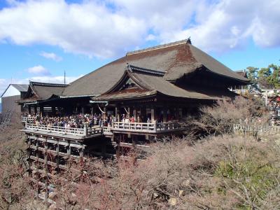 京都へ日帰り初詣