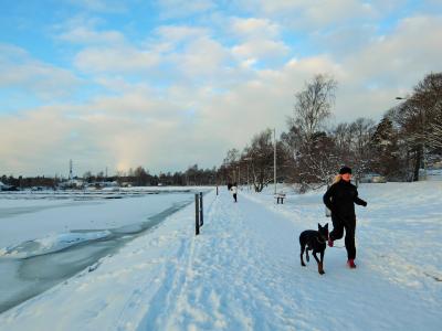 北欧の冬を体感する。フィンランド（＆エストニア、デンマーク）9日間　＜2日目、ヘルシンキ街めぐり＞