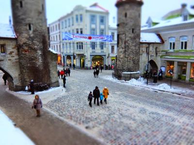 北欧の冬を体感する。フィンランド（＆エストニア、デンマーク）9日間　＜3日目、世界遺産タリン旧市街へ＞