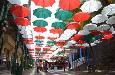 アフリカの島国アイランドホッピングの旅　路線バスを乗り継いでモーリシャス南北縦断