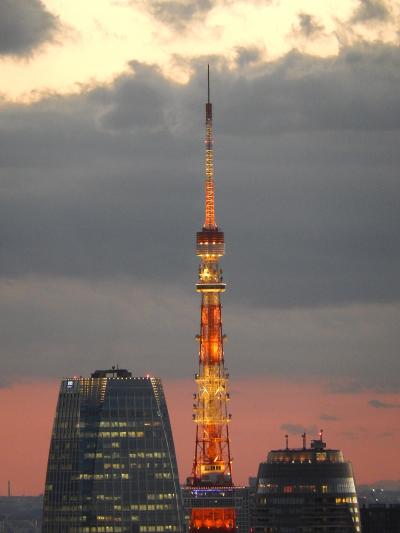 久しぶりに丸ビル３５階展望台より虎ノ門、日比谷、お台場方面の夜景を眺める