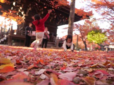 2014　盛秋の京都 紅葉の旅～1日目は蕪蒸しと真如堂～