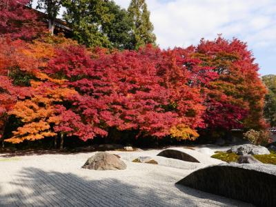 2014　盛秋の京都 紅葉の旅～2日目は貴船神社から実相院、蓮華寺へ～