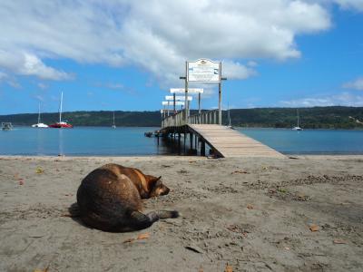 バヌアツに行ってみた(2日目)