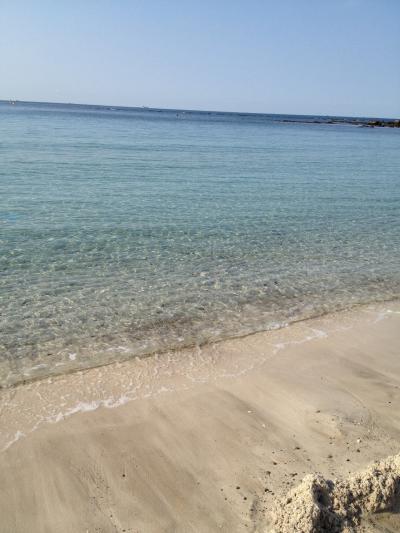 三世代 和歌山白良浜＆アドベンチャーワールド