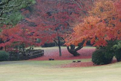 奈良コミュ・第四回設立記念オフ会