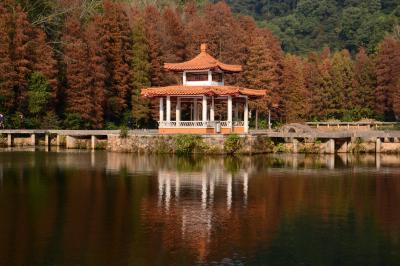 深セン★気晴らしに自然散策！仙湖植物園へ～後半～