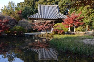 長岳寺（天理市）＆正暦寺（奈良市）の紅葉