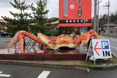 旅するイルカ♪　京都府　夕日ヶ浦温泉　カニ＆神戸どうぶつ王国へ