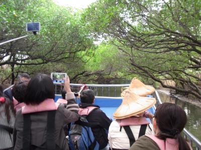 台湾☆はじめまして（2014 その６　四草のマングローブ船と安平）