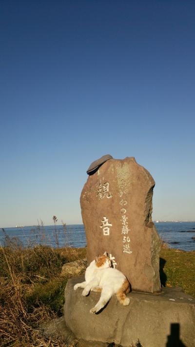 夕方から横須賀観音埼散歩