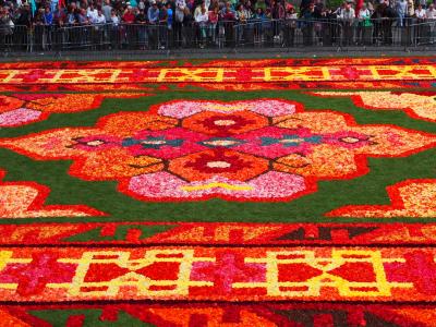 ベルギー一人旅 目的は2年に1度のフラワーカーペット 台風でまさかの関空橋閉鎖~ブリュッセル編