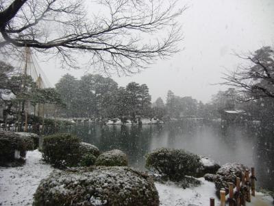 今話題！冬の金沢へ♪　（１日目　近江町市場・兼六園・尾山神社）