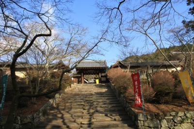 京都寺社巡り。　毘沙門堂、将軍塚青龍殿、京都市内を横断して嵐山へ