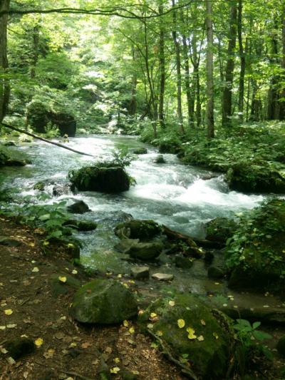 青森旅行2日目【完】～奥入瀬渓流＆十和田湖～