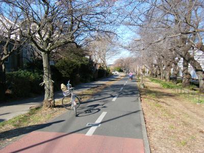 三鷹ー狭山湖　サイクリング