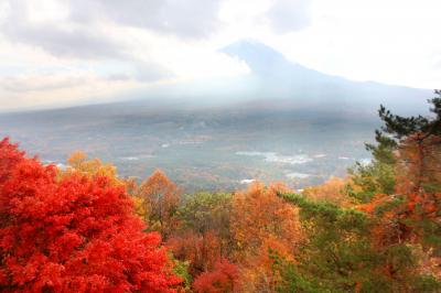 紅葉の富士を求め?（紅葉台・西湖いやしの里・精進湖・本栖湖）