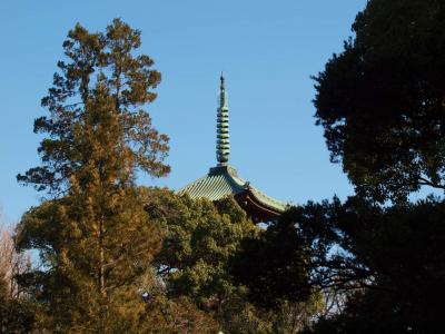 光輝く　上野の東照宮　