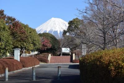 散歩 2015.01.14 =連日の富士山見ながら散歩=
