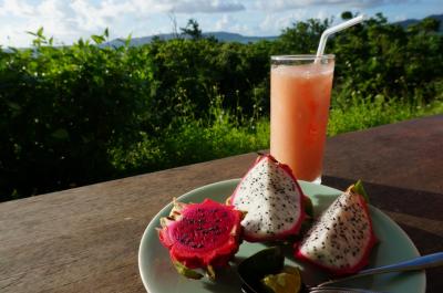 波乱万丈・グルメの石垣島旅