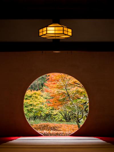 2014年　秋の鎌倉　紅葉狩り＆ランチ　明月院、円覚寺へ　そして　北鎌倉　航でランチ　〆はイワタコーヒーのホットケーキ