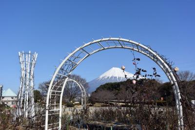 散歩 2015.01.16 =富士山を見ながら…=