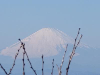 新春足慣らしハイキング　葉山仙元山