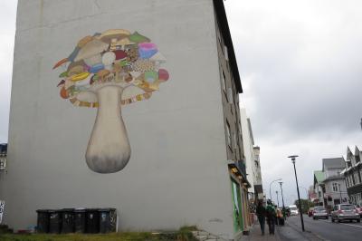 2014 夏のアイスランド一周(リングロードトリップ)その6