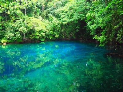 バヌアツに行ってみた(8日目)