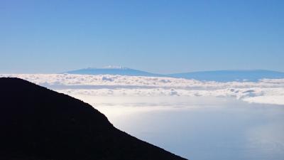 初ハワイ オアフ一周バス 初詣 ちょっとマウイ