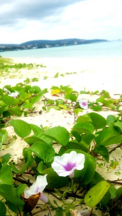 Love The Island GUAM～グアム社員旅行～