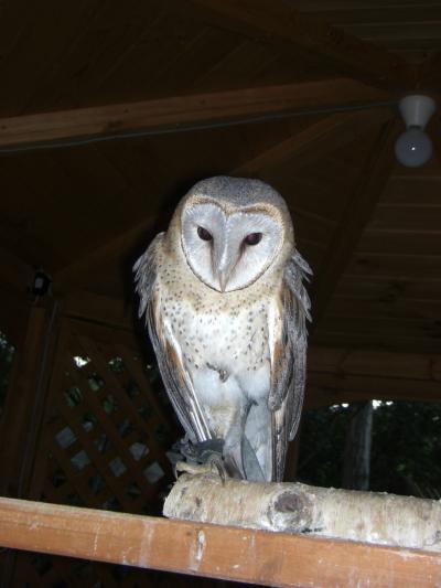 野生動物が身近なノースサファリサッポロ