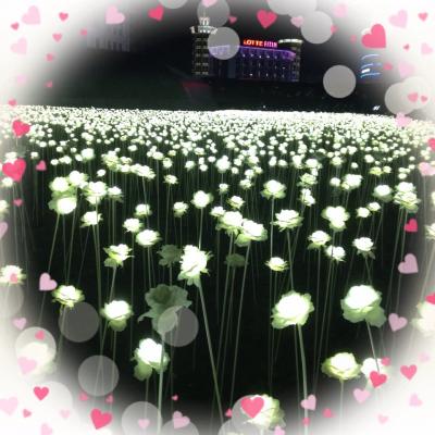 ソウル食堂(笑)