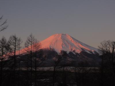 富士五湖周辺を堪能する１泊旅行