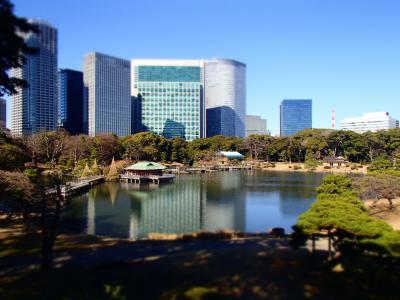 築地市場と浜離宮庭園散歩