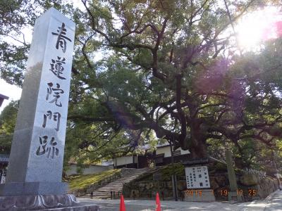 京都一人旅・一日目