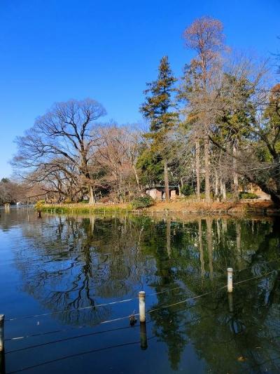 井の頭公園へ行ってきました