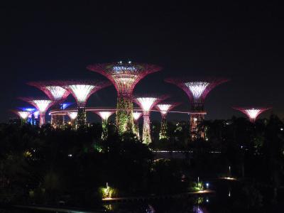 シンガポール旅行記2014（7） マリーナの夜の光のショー