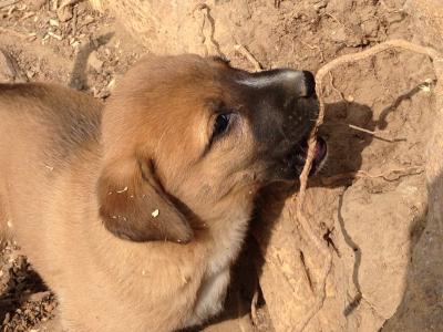 やっぱここしかない７度目インド　アーメダバード編