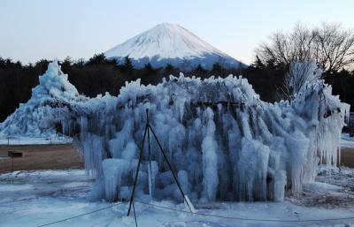 冬季は樹氷の森公園に変身する西湖野鳥の森公園