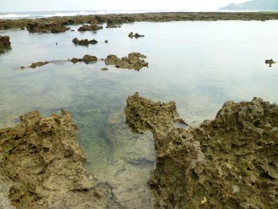 珠美の島「久米島」完全制覇　熱帯魚の家