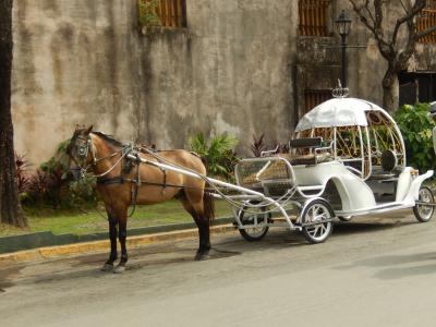フィリピン　「行った所・見た所」　マニラ（マニラ大聖堂とサンチャゴ要害散策）