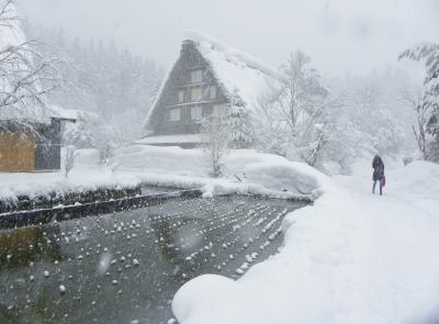 豪雪の世界遺産、白川郷・五箇山～雪のない兼六園～雪の少ない永平寺を廻ります！