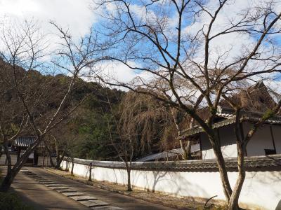 大阪・河内長野の天野山金剛寺へ