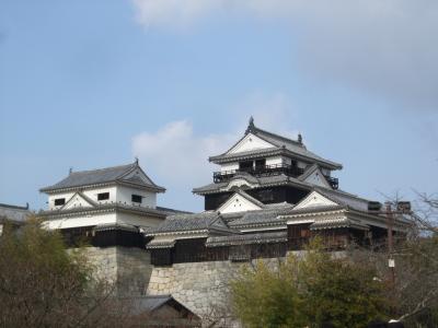 2014年末は香川～愛媛城巡りへ　⑤現存天守　松山城＆湯築城って、どこ？
