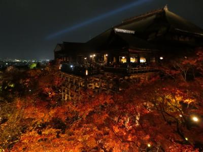 京都に日帰りで紅葉ライトアップを観にo(^o^)o