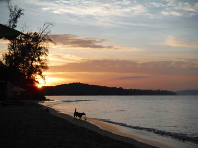 またまた 年末 ベトナム フーコック島 北のローカルバンガロー ブンバウ リゾート編