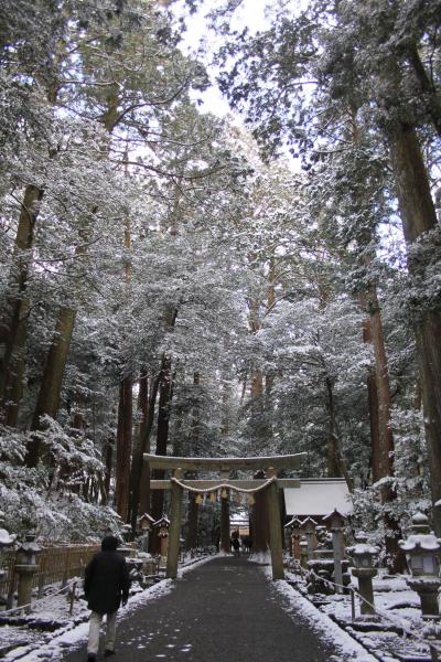 雪の椿大神社