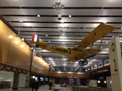 2014 アメリカ アラスカでオーロラを観る!