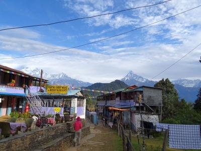 ネパール・アンナプルナトレッキング 2015新年：01/01(Day9)::オーストラリアキャンプ経由でダンプス